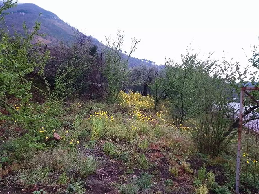 Immagine 1 di Terreno agricolo in vendita  in Via Bracigliano 1 a Sarno