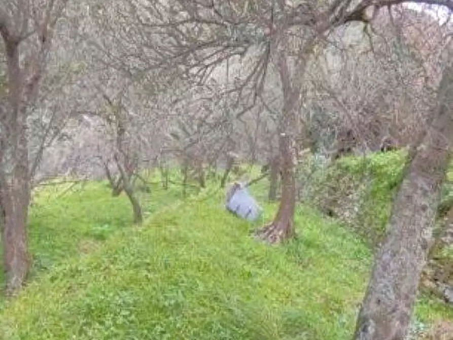 Immagine 4 di Villa in vendita  in VIA COSTIGLIOLO 155000 a Cogorno