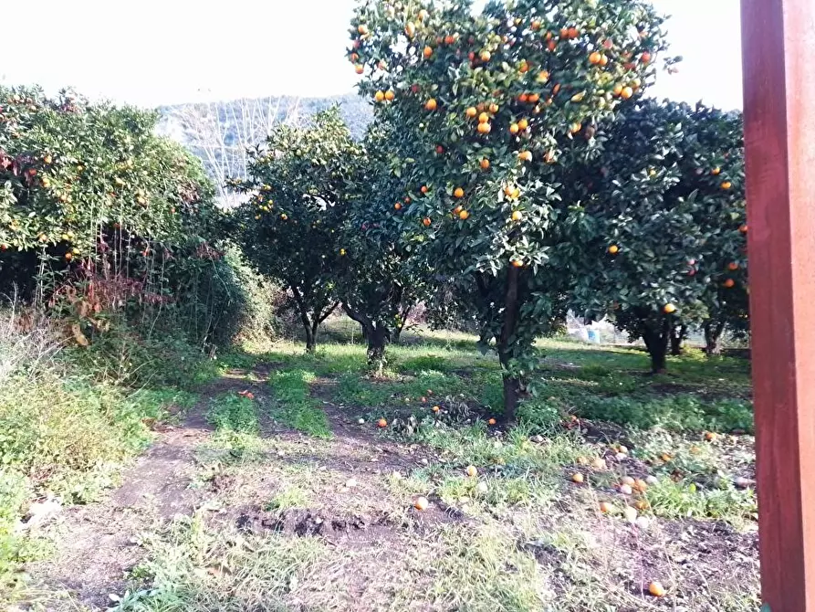 Immagine 10 di Terreno in vendita  in Via Mura D'Arci 1 a Sarno
