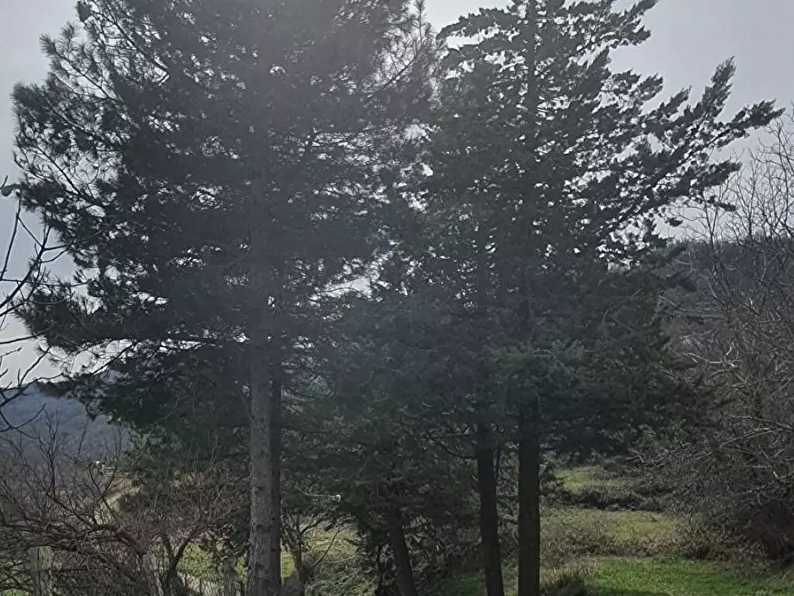 Immagine 1 di Villa in affitto  in FONTANA D EBOLI 5 a Moliterno