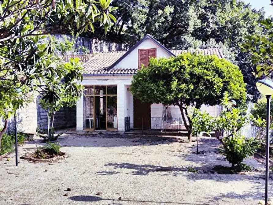 Immagine 3 di Villa in vendita  in Via Pennino  1 a Ascea