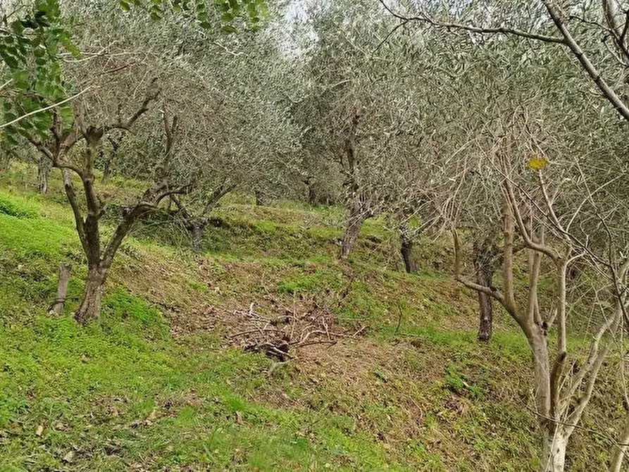 Immagine 1 di Terreno agricolo in vendita  in Via Bracigliano 1 a Sarno