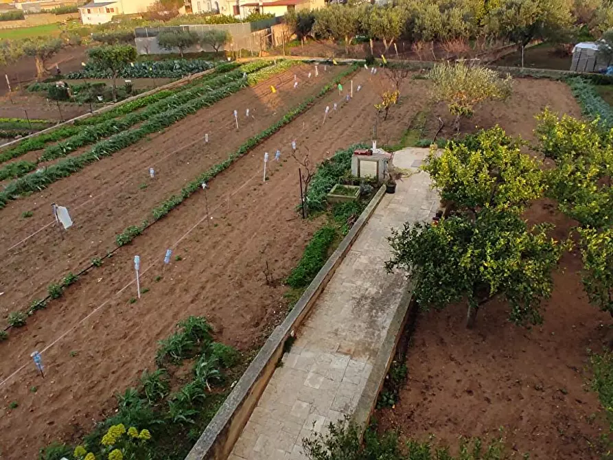 Immagine 10 di Villa in vendita  in Strada isolotto 28 a Trapani