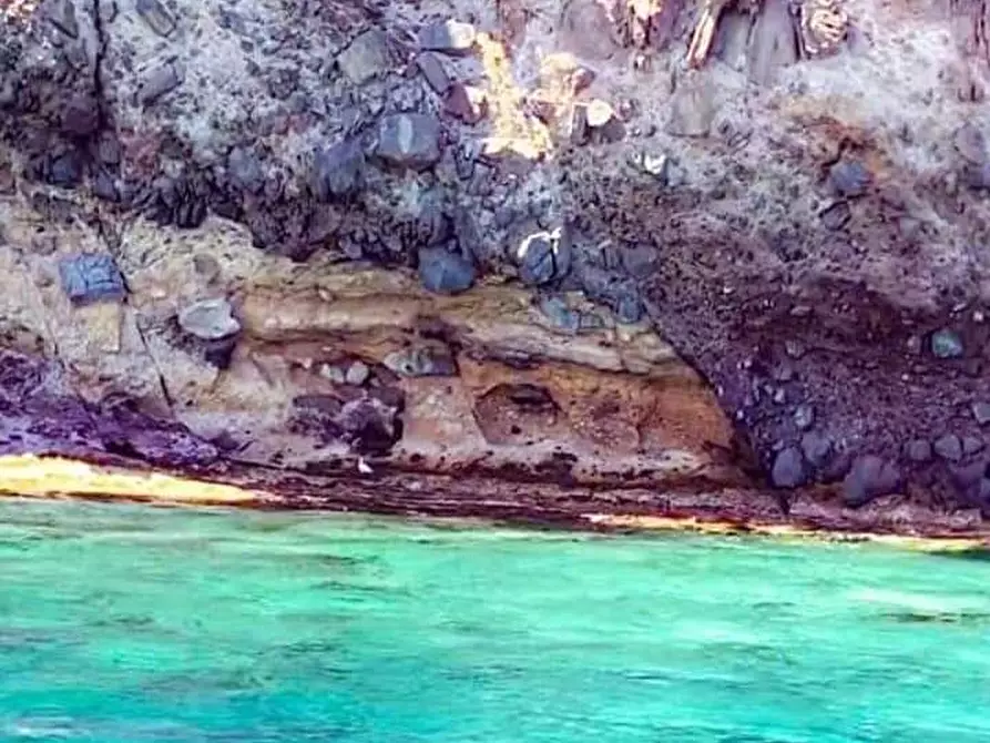 Immagine 4 di Abitazione tipica in affitto  a Monteverdi Marittimo