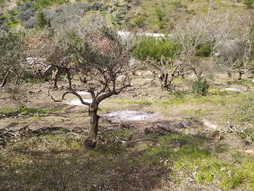 Immagine 9 di Terreno agricolo in vendita  in Via Bracigliano 1 a Sarno