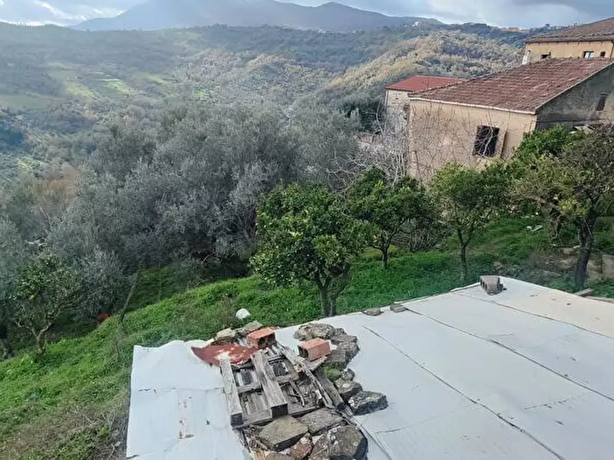 Immagine 15 di Casa indipendente in vendita  in via Roma 1 a Rutino
