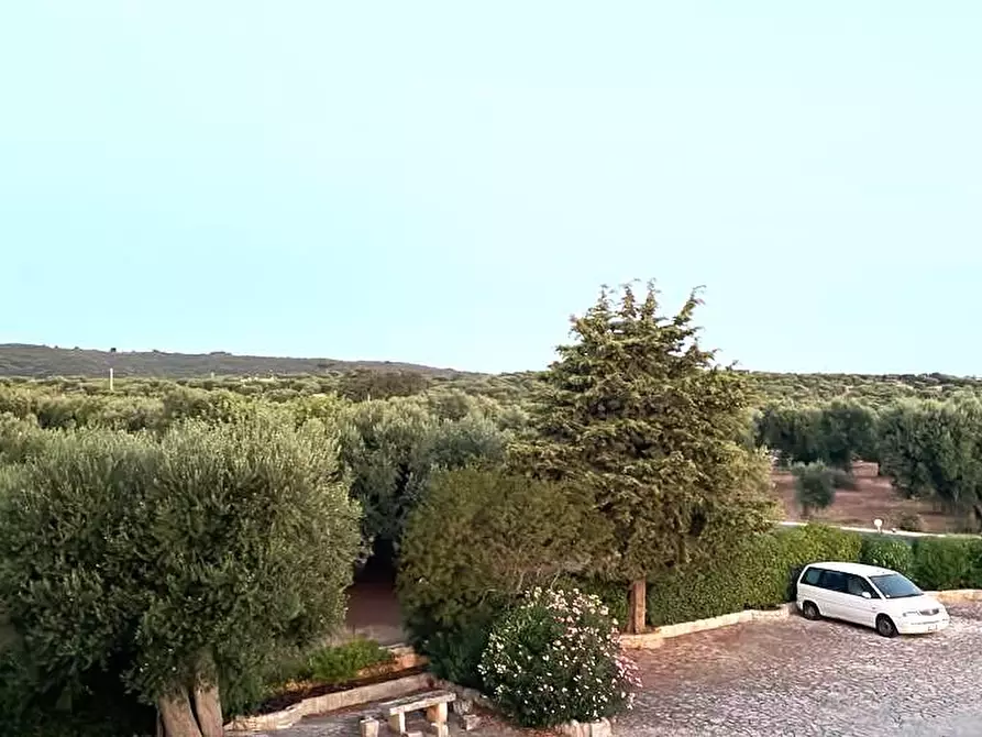 Immagine 7 di Stabile in vendita  in Contrada Macchia di Casa a Monopoli