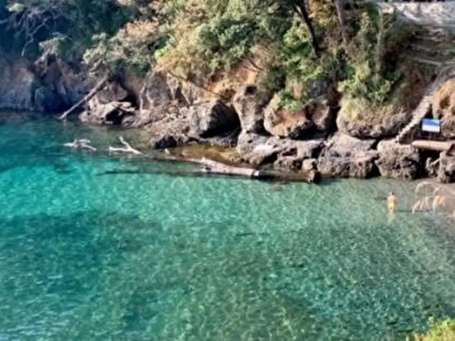 Immagine 14 di Appartamento in vendita  in via privata dei lecci 2 a Rapallo