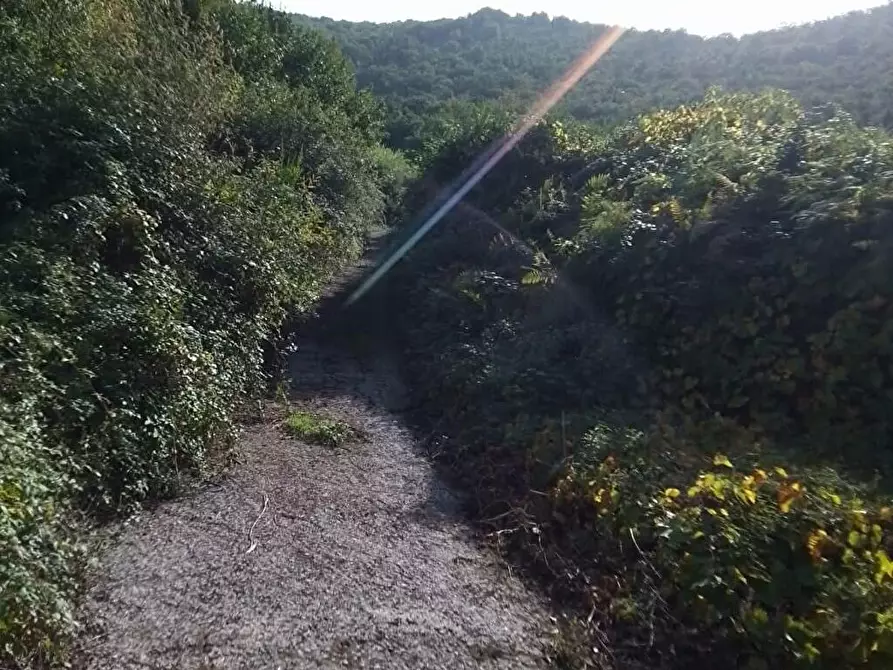 Immagine 5 di Terreno agricolo in vendita  in Via Sant'Eramo 1 a Sarno