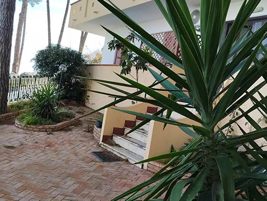 Immagine 6 di Abitazione tipica in affitto  in Via S. Martino  14 a Stalettì