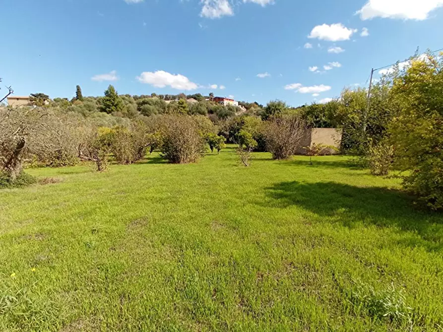 Immagine 2 di Terreno agricolo in vendita  in SV Segasidda Manna 14 a Sassari