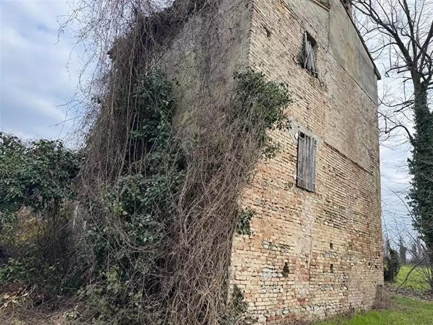 Immagine 7 di Rustico / casale in vendita  in binconese  10 a Fontevivo
