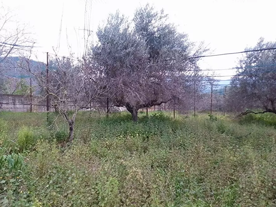 Immagine 1 di Terreno agricolo in vendita  in Via S.Vito 101 a Sarno