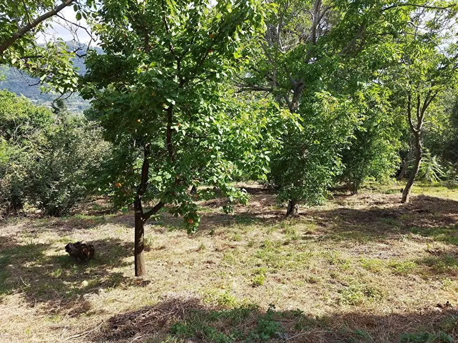 Immagine 1 di Terreno agricolo in vendita  in Via  Bracigliano 1 a Sarno