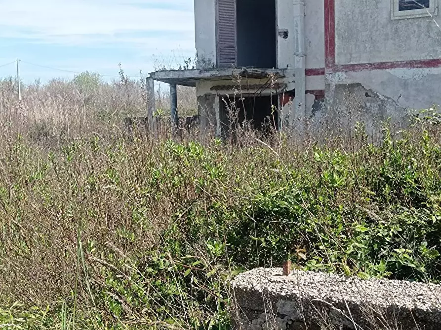 Immagine 3 di Rustico / casale in vendita  in via Pescopagano 55 a Mondragone