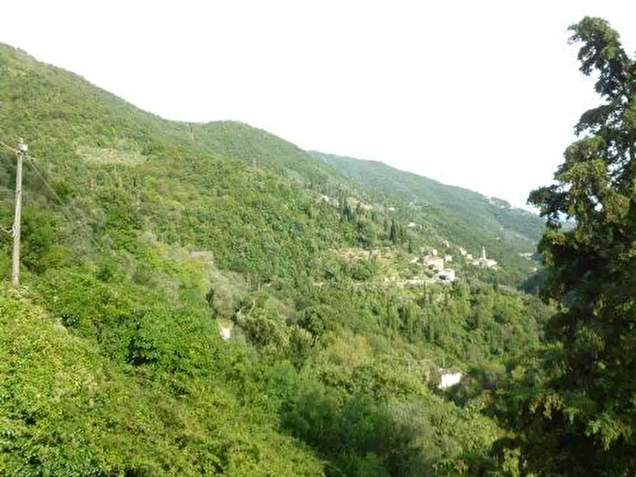 Immagine 3 di Villa in vendita  in VIA S. ANDREA DI FOGGIA 1 a Rapallo