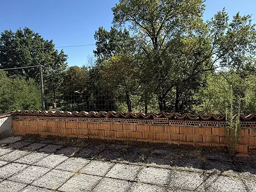 Immagine 6 di Appartamento in affitto  a Traversetolo