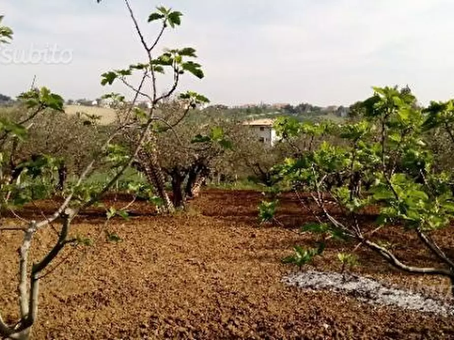 Immagine 2 di Terreno edificabile in vendita  in Via Boreale a Pianella