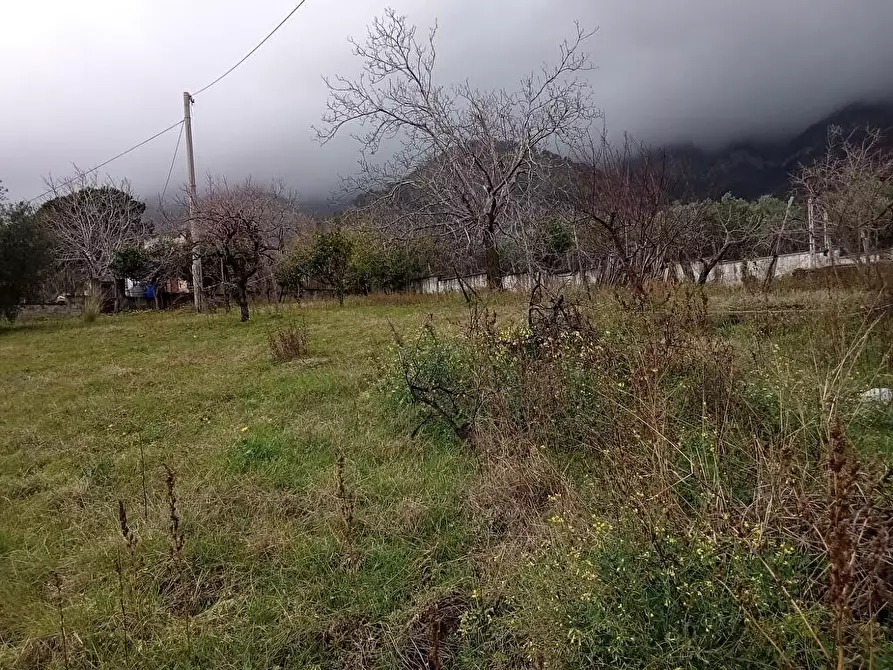 Immagine 5 di Terreno agricolo in vendita  in Via VillaVenere 1 a Sarno