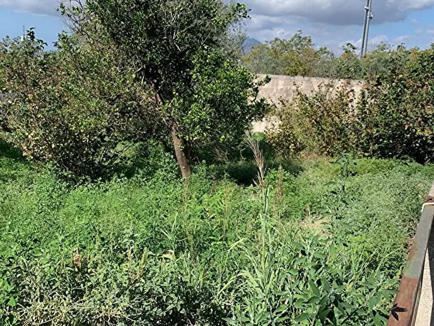 Immagine 6 di Terreno agricolo in affitto  in Via Le Noci 1 a Sarno