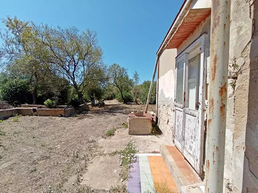 Immagine 9 di Casa colonica in vendita  in SV Pietro d'Ottava 130 a Sassari
