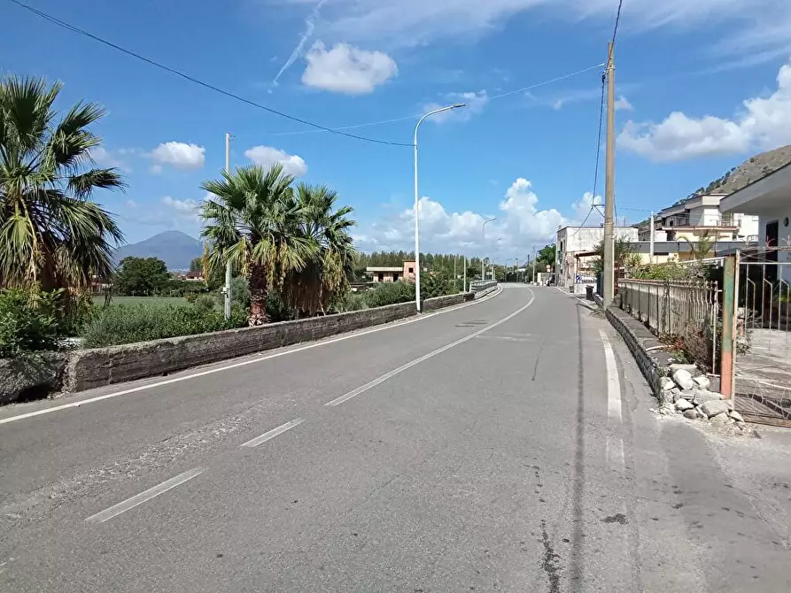Immagine 4 di Terreno agricolo in vendita  in Via Vecchia Lavorate 1 a Sarno