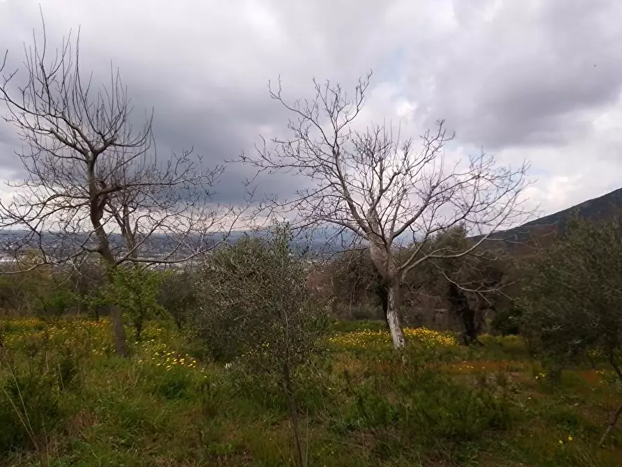 Immagine 1 di Terreno agricolo in vendita  in Via Curti 1 a Sarno