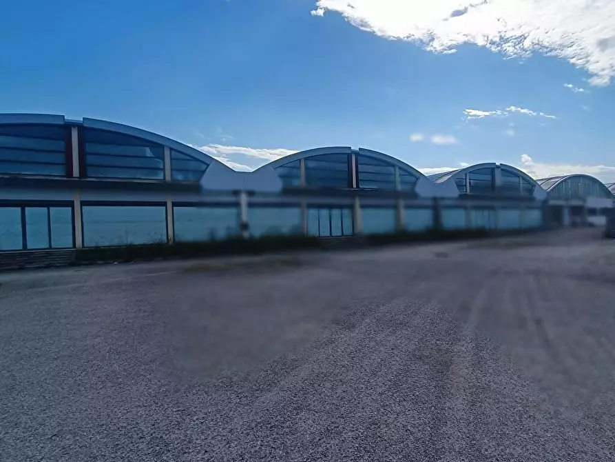 Immagine 2 di Capannone industriale in affitto  in Via Albegna  15 a Pescara
