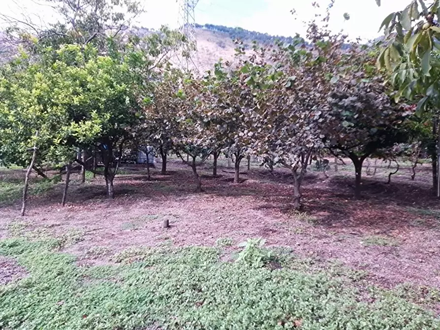 Immagine 15 di Terreno agricolo in vendita  in Via  San Vito 1 a Sarno
