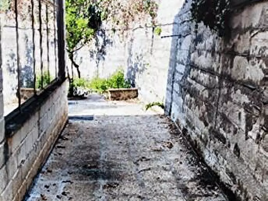 Immagine 9 di Villa in vendita  in Via Pennino  1 a Ascea