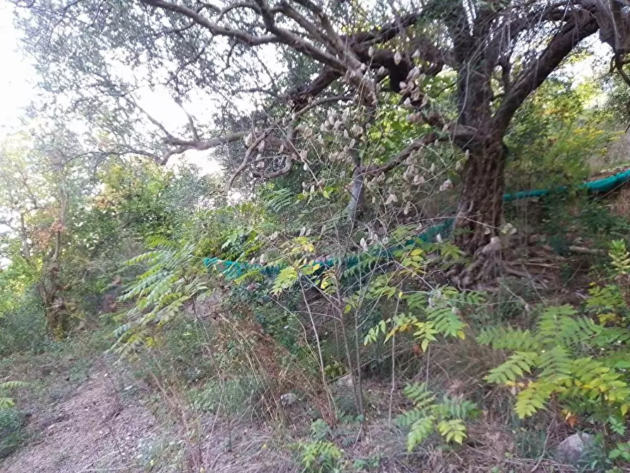 Immagine 15 di Terreno agricolo in vendita  in Via  Bracigliano 1 a Sarno