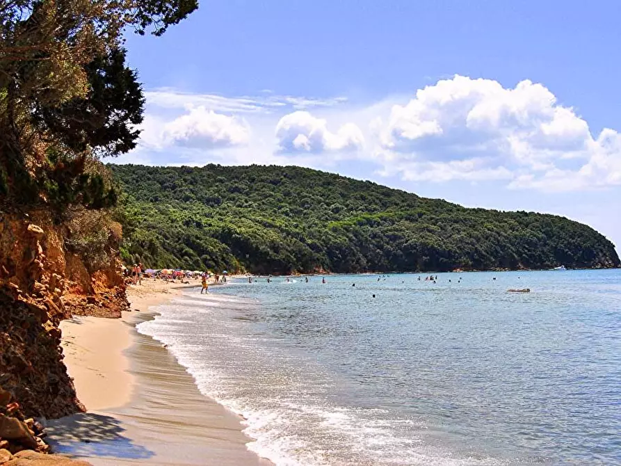 Immagine 10 di Casa vacanze in affitto  in Via lago di como 8 a Follonica