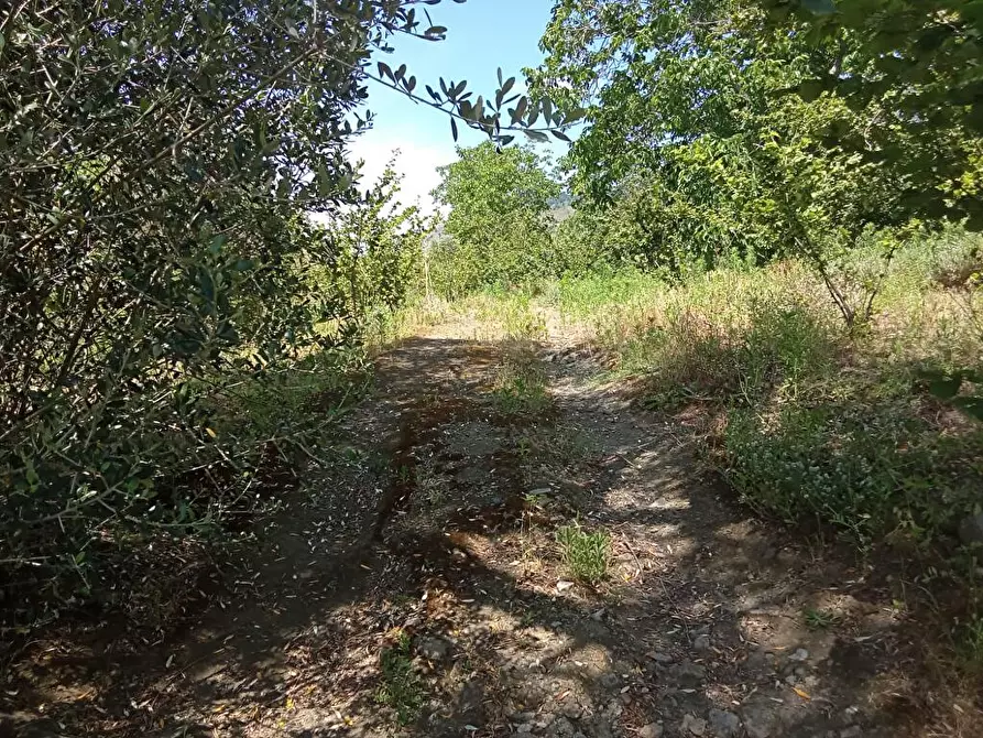 Immagine 1 di Terreno agricolo in vendita  in Via Sant'Eramo 1 a Sarno