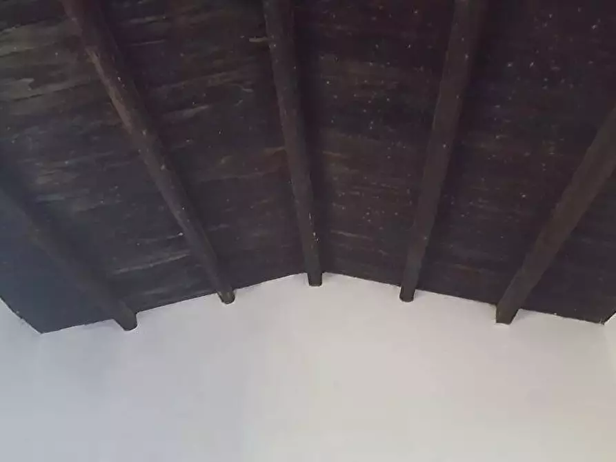 Immagine 5 di Terreno agricolo in vendita  in Matta e Padru snc a Bonorva