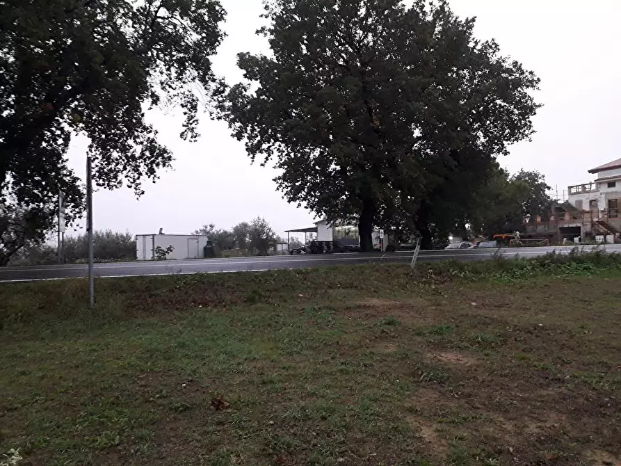 Immagine 17 di Terreno edificabile in vendita  in Via Faresi a Cepagatti