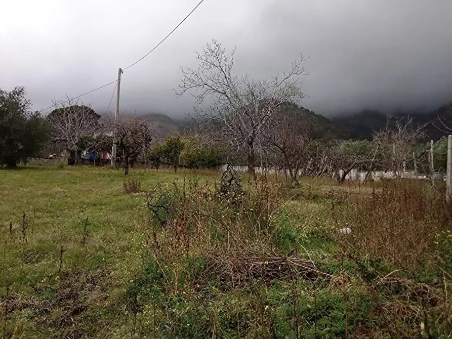 Immagine 6 di Terreno agricolo in vendita  in Via VillaVenere 1 a Sarno