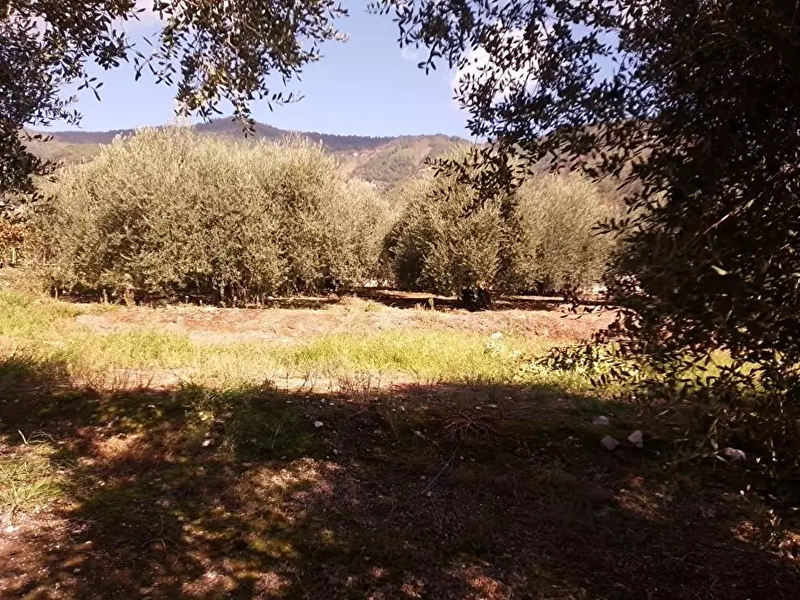 Immagine 3 di Terreno agricolo in vendita  in Via Sant'Eramo 1 a Sarno