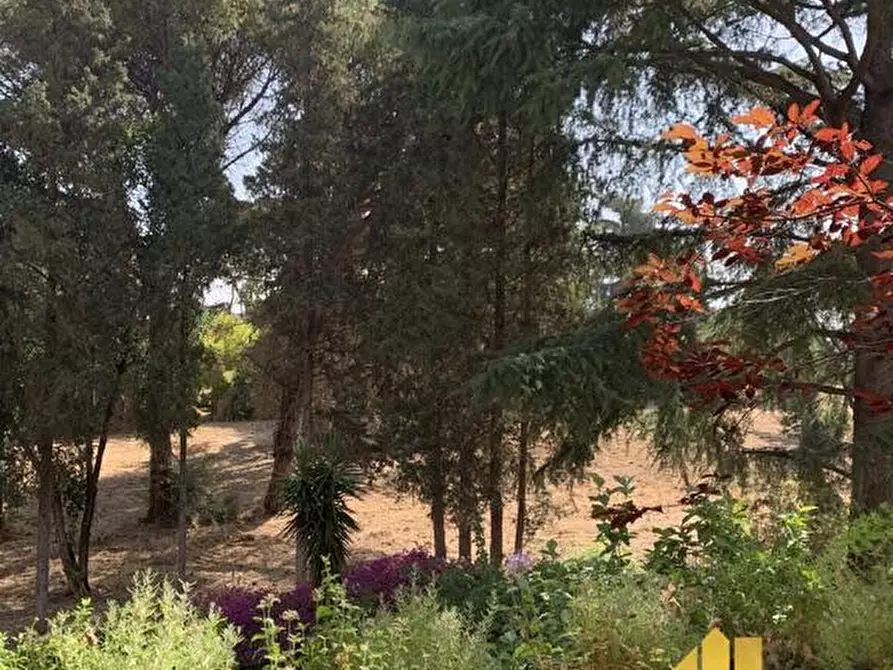 Immagine 9 di Appartamento in vendita  in VIA ANTONIO SOGLIANO 46 a Roma