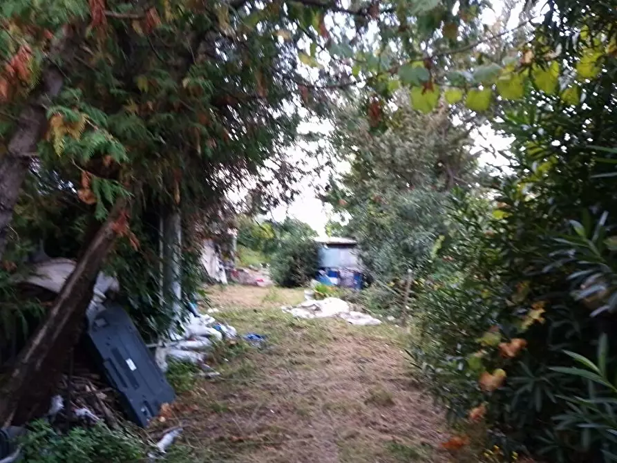 Immagine 5 di Terreno agricolo in vendita  in Via Bracigliano 1 a Sarno