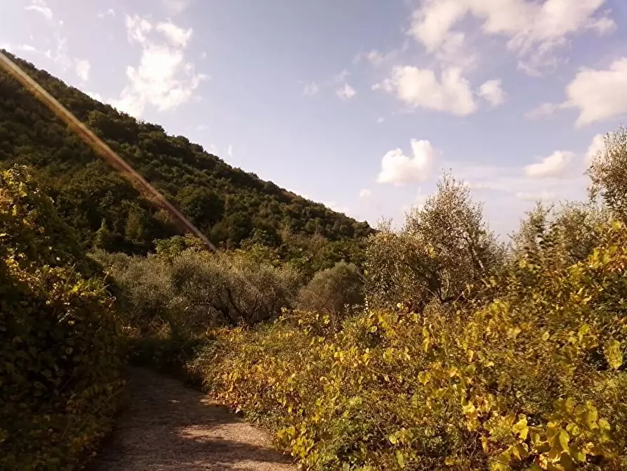 Immagine 4 di Terreno agricolo in vendita  in Via Sant'Eramo 1 a Sarno