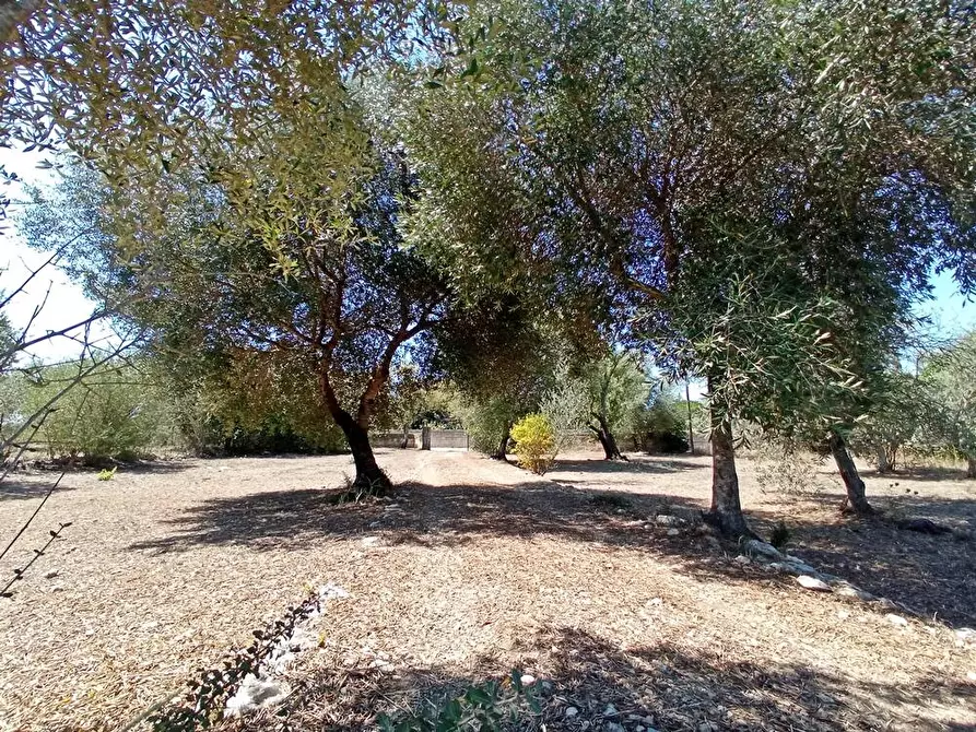 Immagine 15 di Casa colonica in vendita  in SV Pietro d'Ottava 130 a Sassari