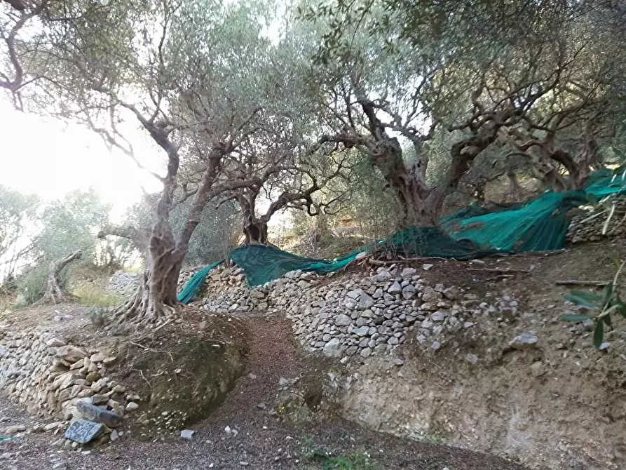 Immagine 8 di Terreno agricolo in vendita  in Via  Bracigliano 1 a Sarno