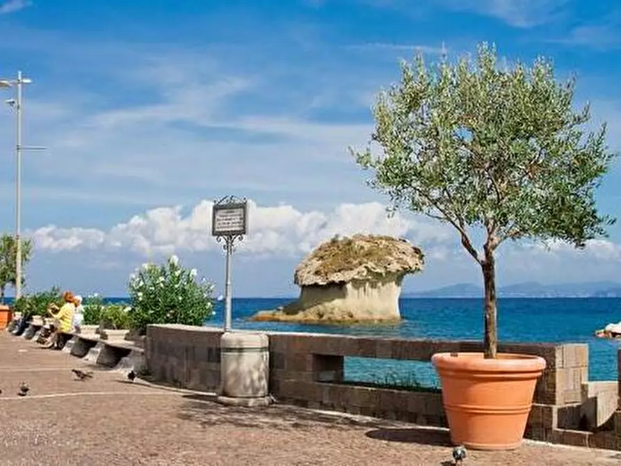 Immagine 8 di Attività commerciale in affitto  in Corso Angelo Rizzoli 35 a Lacco Ameno