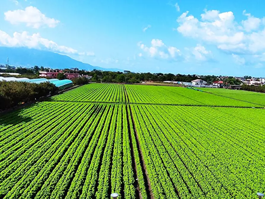 Immagine 2 di Ufficio in affitto  in via piano del principe 149 a Poggiomarino