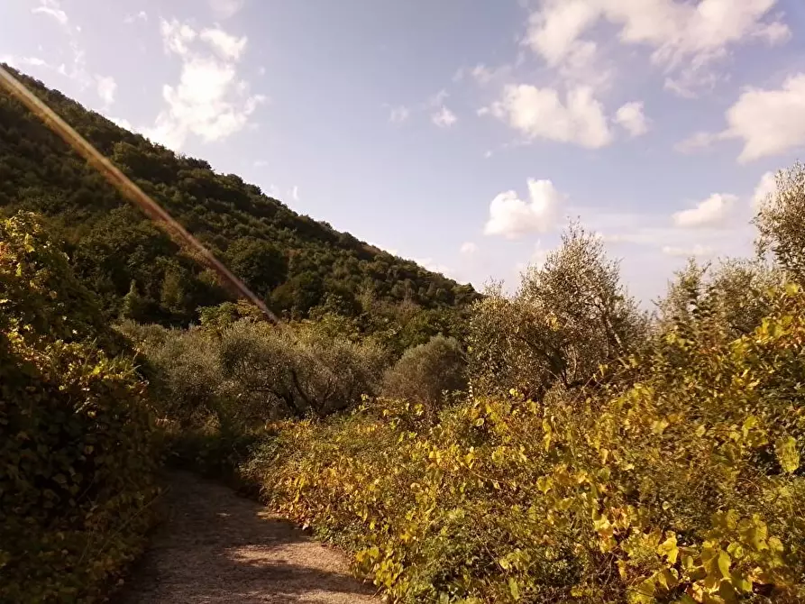 Immagine 5 di Terreno agricolo in vendita  in Via  Sant'Eramo 10 a Sarno