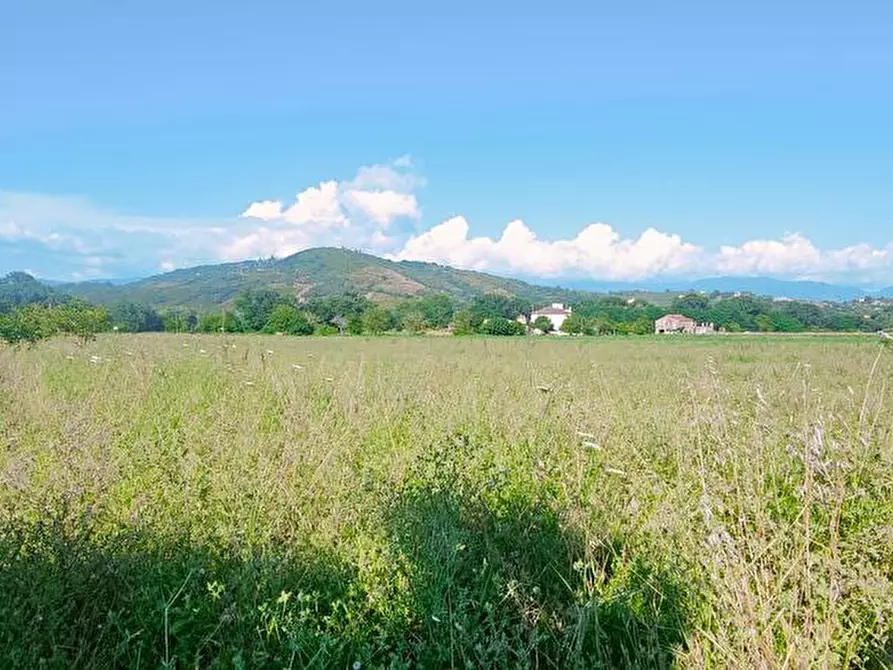 Immagine 3 di Terreno edificabile in vendita  a Casal Velino