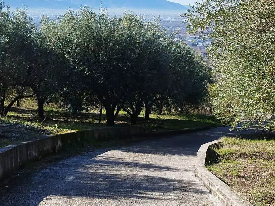 Immagine 2 di Terreno agricolo in vendita  in Via Calabrici 1 a Sarno