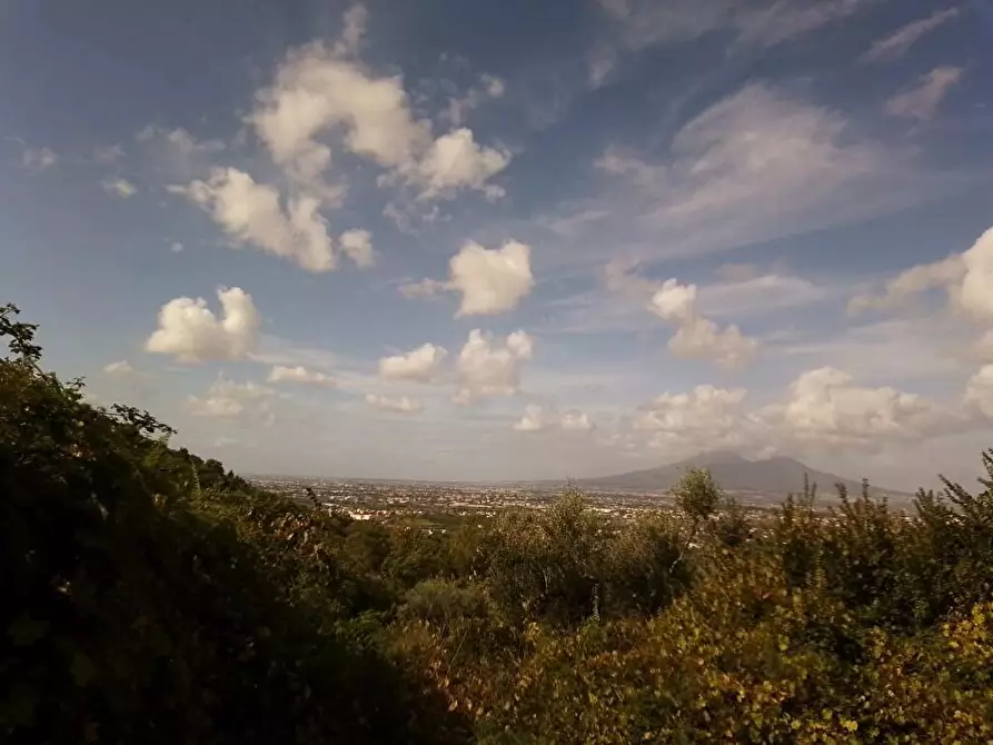 Immagine 3 di Terreno agricolo in vendita  in Via Sant'Eramo 1 a Sarno
