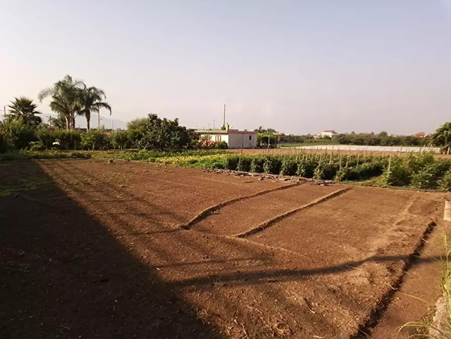 Immagine 3 di Terreno agricolo in vendita  in Via 2°Starzella 1 a Sarno