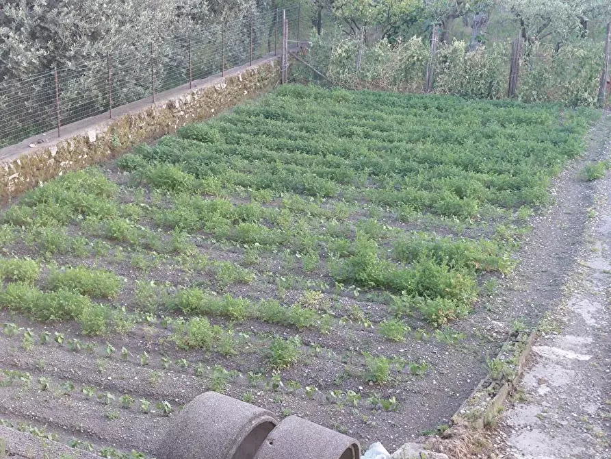 Immagine 6 di Appartamento in vendita  in Via Pioppazze 17 a Sarno